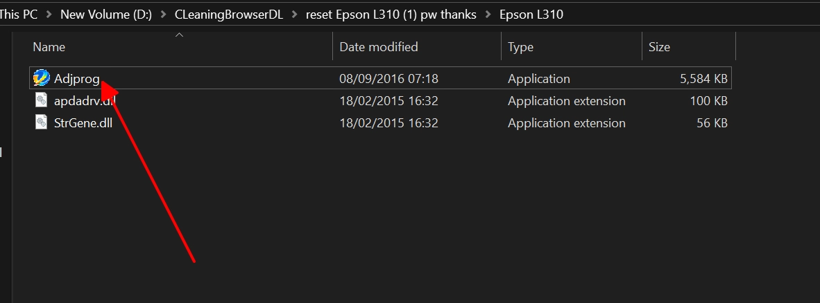 Run L310